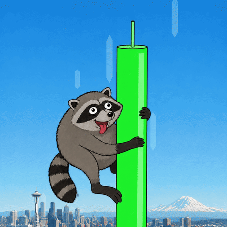 Jimothy the raccoon taking flight